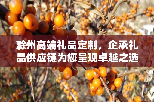 滁州高端礼品定制，企承礼品供应链为您呈现卓越之选